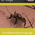 Krankheitsübertragung durch Mücken und Zecken - Schulfilm Biologie