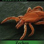 Waidwerk Classics - Zecken - GefÃ¤hrliche Parasiten