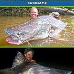 Suriname - Piraiba Expediton mit Carsten Zeck  